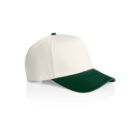 Frame Two-tone Cap